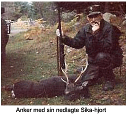 Anker med sin sika